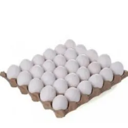 cartón de huevos 30u