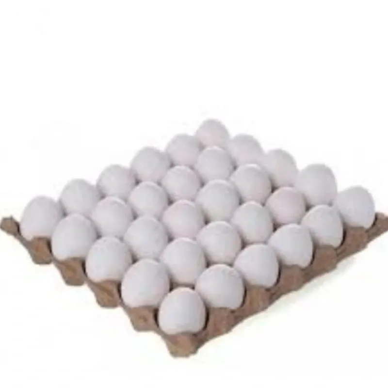 cartón de huevos 30u