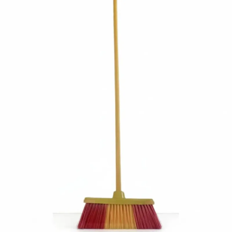 Escoba con su palo