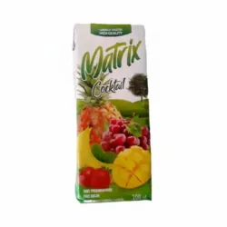jugo de coctel 200ml