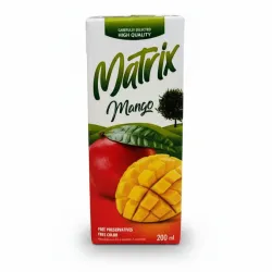 jugo de mango 200ml