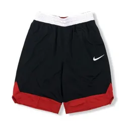 Nike Icon Basketball