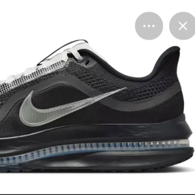 Nike Pegasus Premium