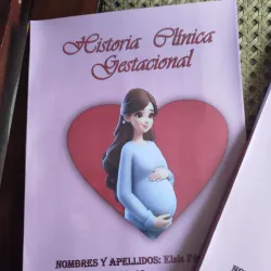 Historia clínica gestacional. Personalizada