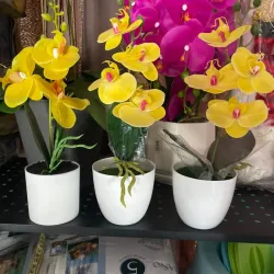Adornos de orquídeas