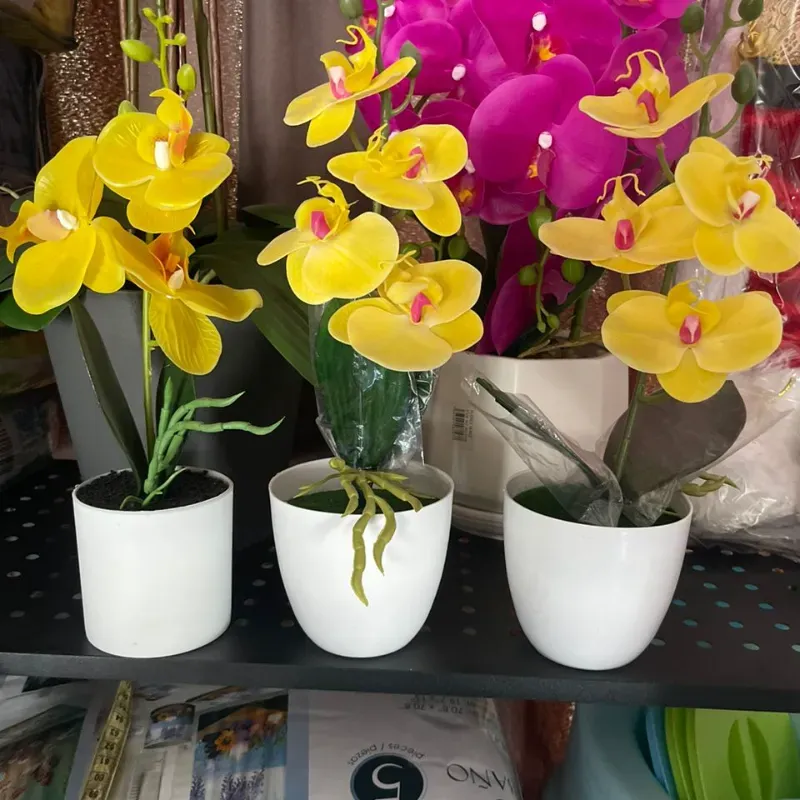 Adornos de orquídeas