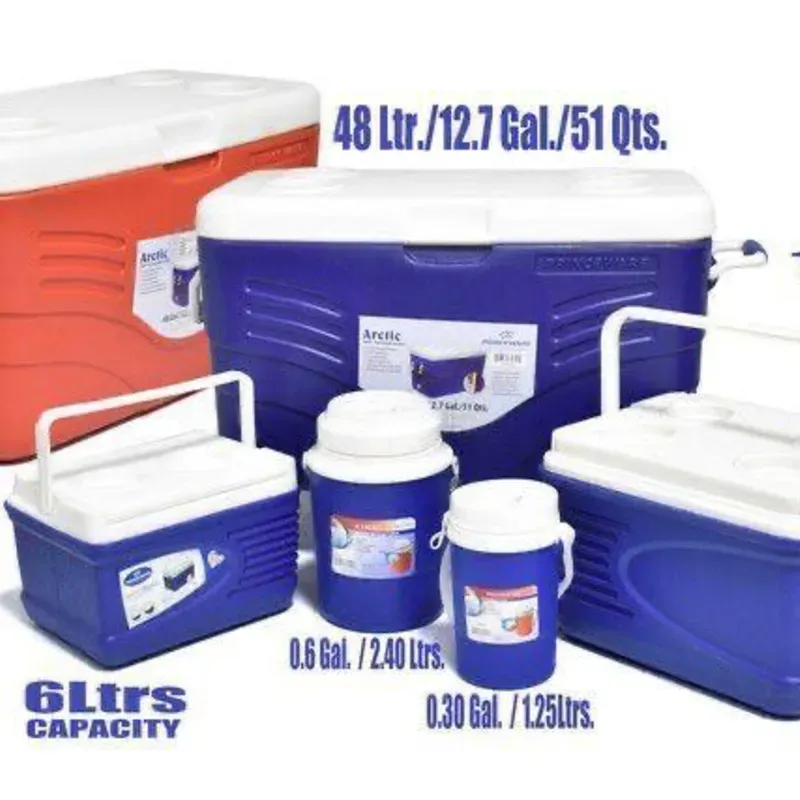 Juego de neveras de playa