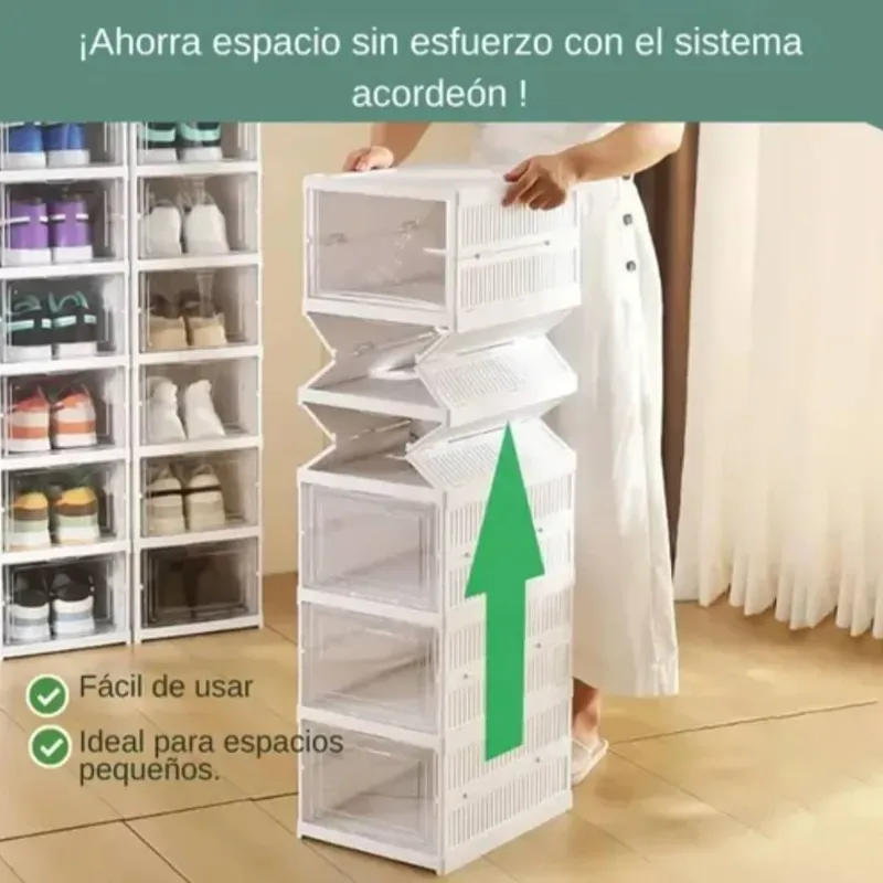 Zapatera de acordeón