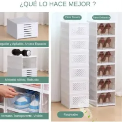 Zapatera de acordeón