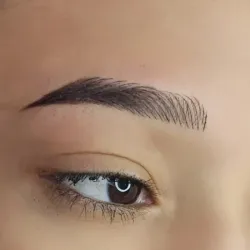 Latin brows