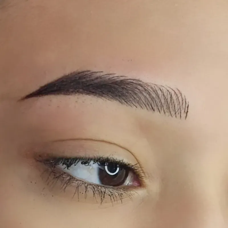 Latin brows