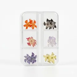 Flores 3D tropicales