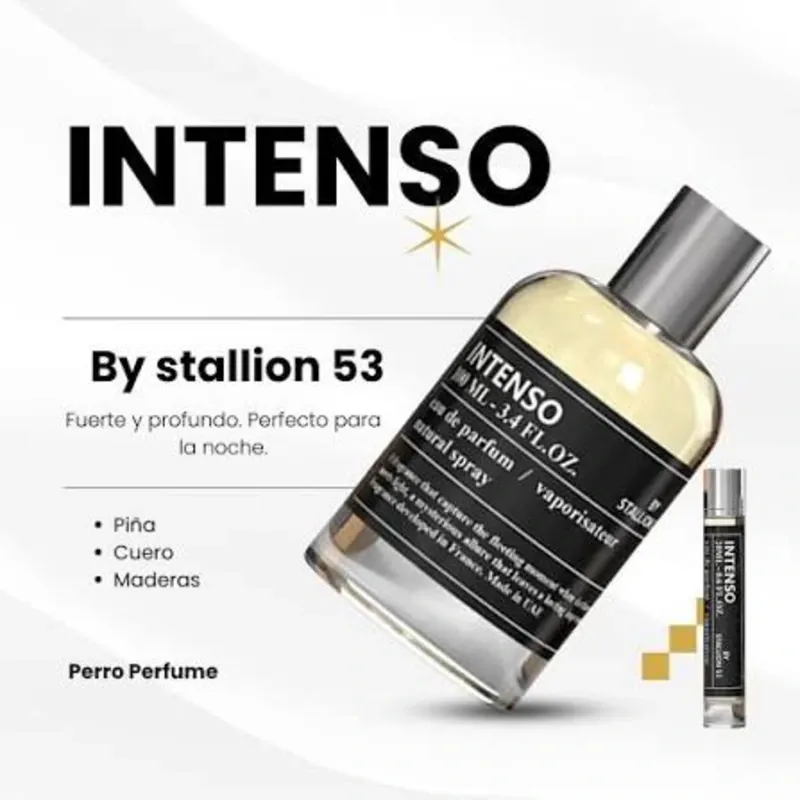 INTENSO BY STALLION 53