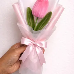 tulipan🌷