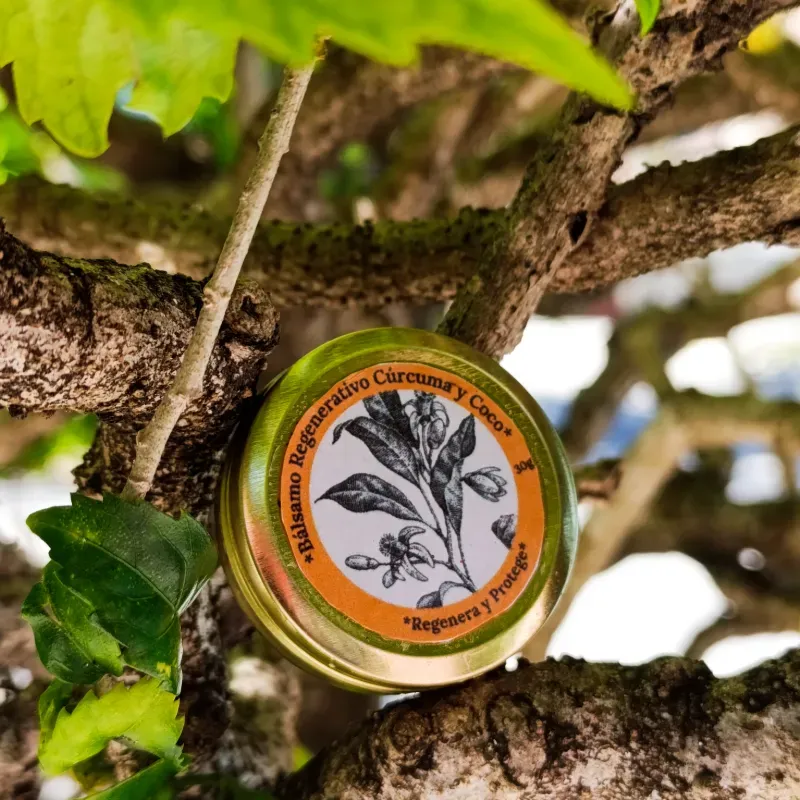 Bálsamo Regenerativo de Cúrcuma y Coco 30g