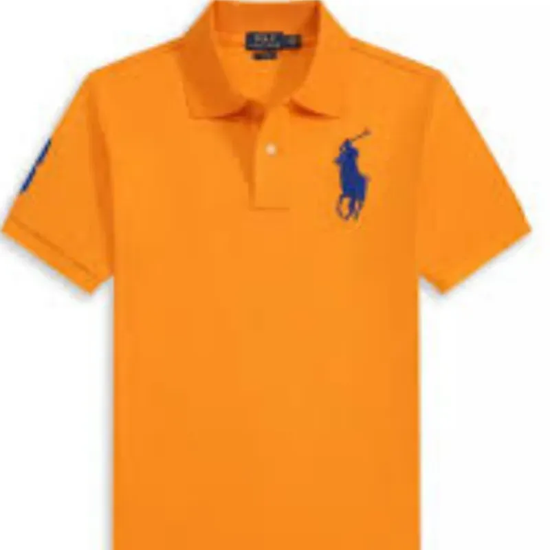 Pulovers Polo 