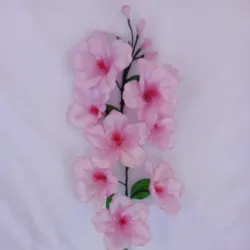 Espiga de flor de cerezo
