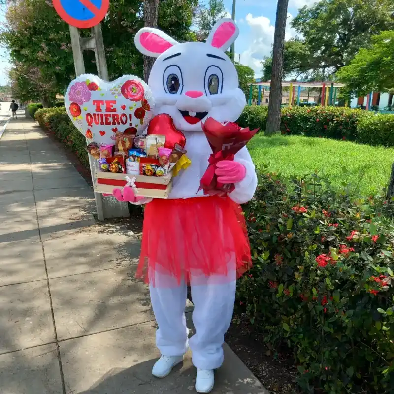 Conejita Lili 