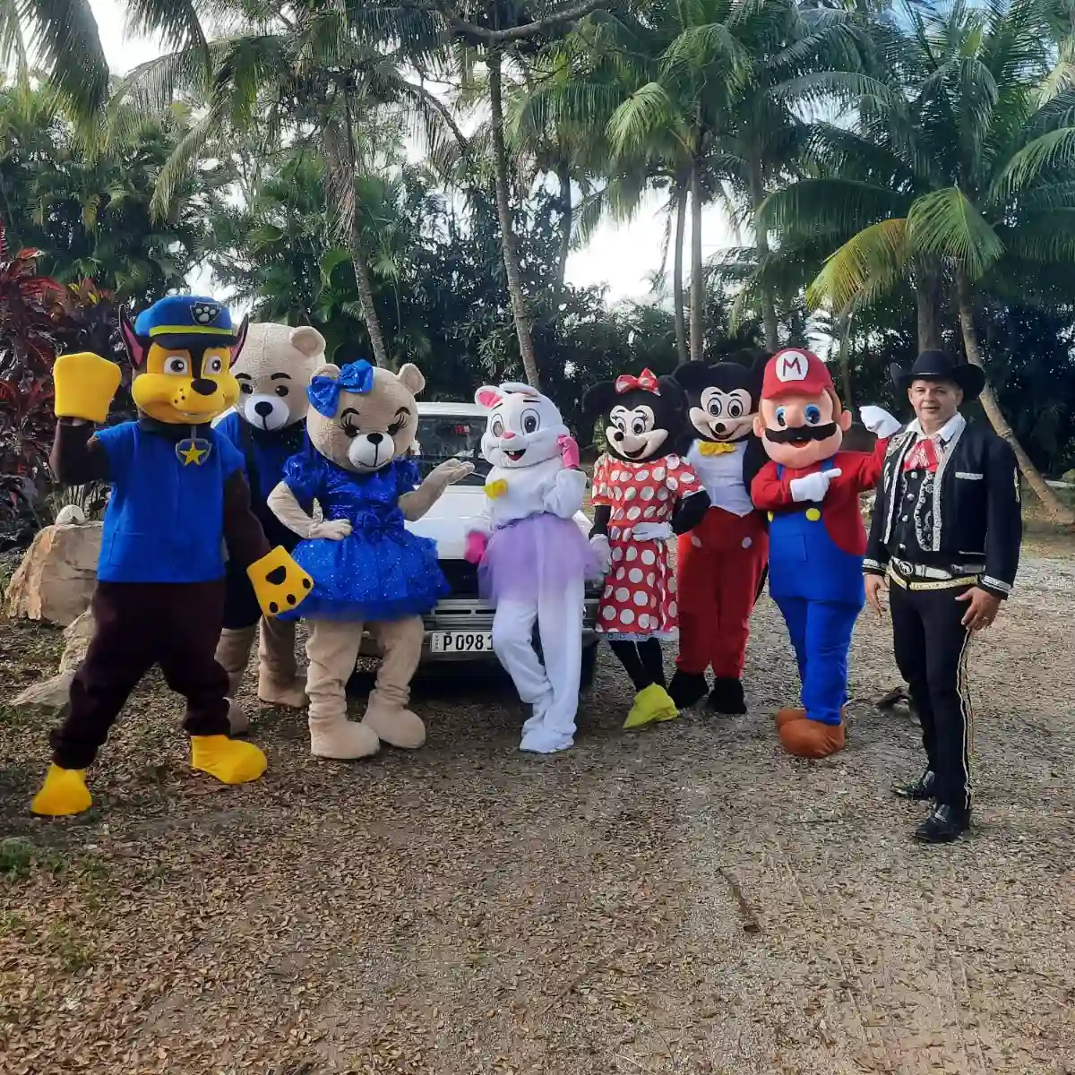 Dayi Regalos y Sorpresas