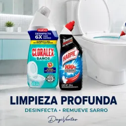 LIMPIADORES Y DESIFECTANTES PARA INODORO 
