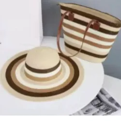 Conjunto de cartera y pamela