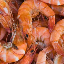 Camarón 