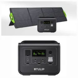 Generador Eléctrico Tulip