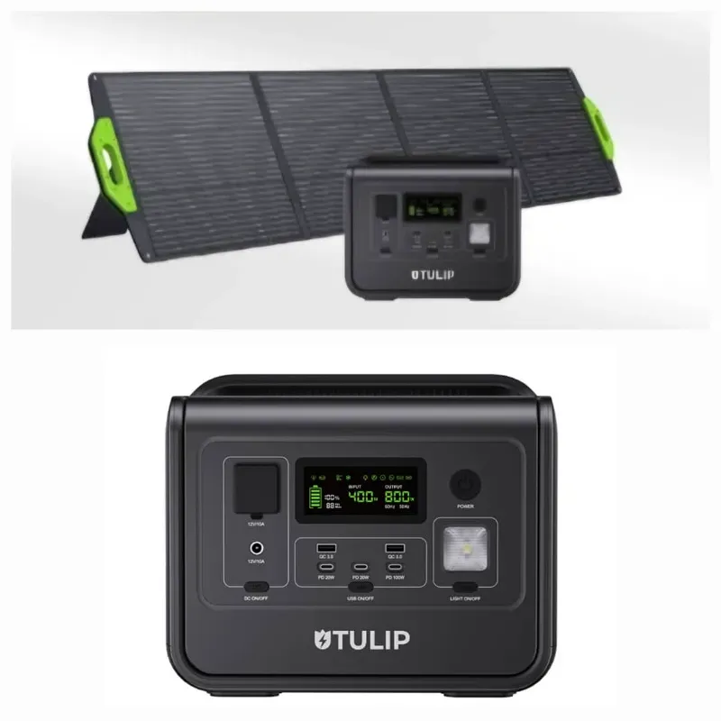 Generador Eléctrico Tulip