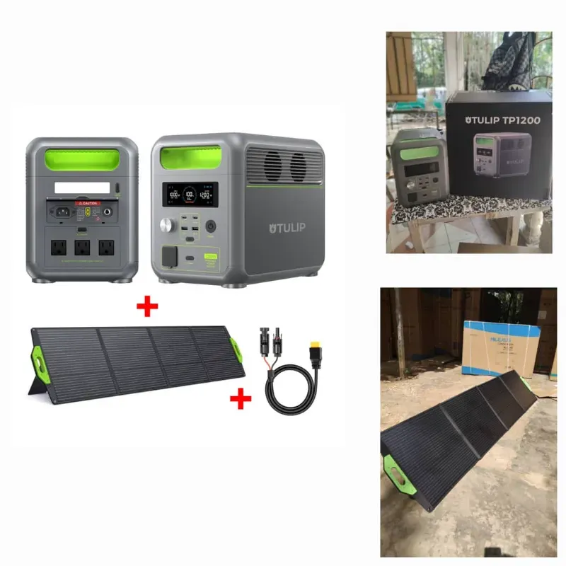 Generador Eléctrico Tulip 