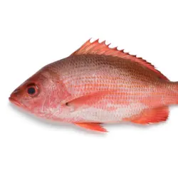 Pargos