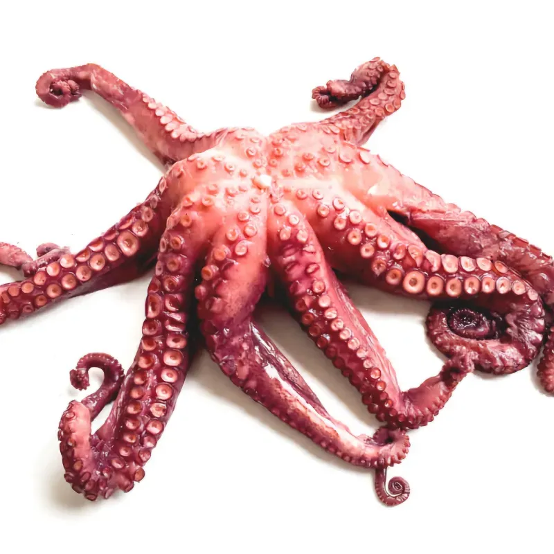 Pulpo
