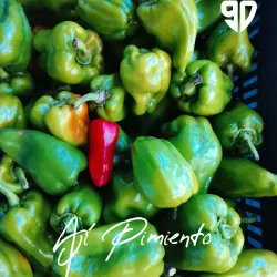 Ají Pimiento