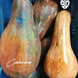Calabaza