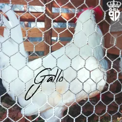 Gallo