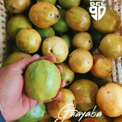 Guayaba