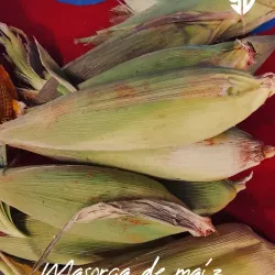 Masorca de maíz