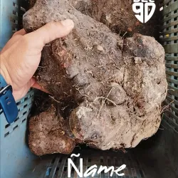 Ñame