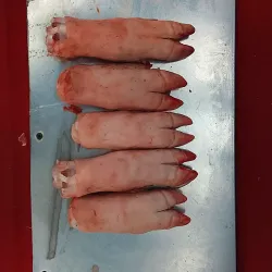 Patas de cerdo