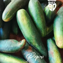 Pepino