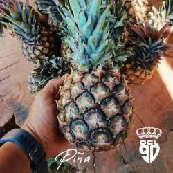 Piña