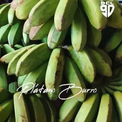 Plátano Burro