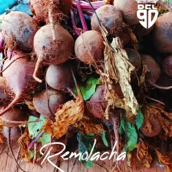Remolacha
