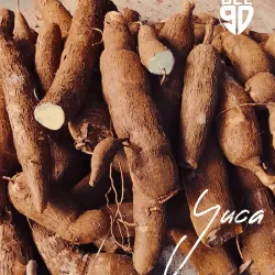 Yuca