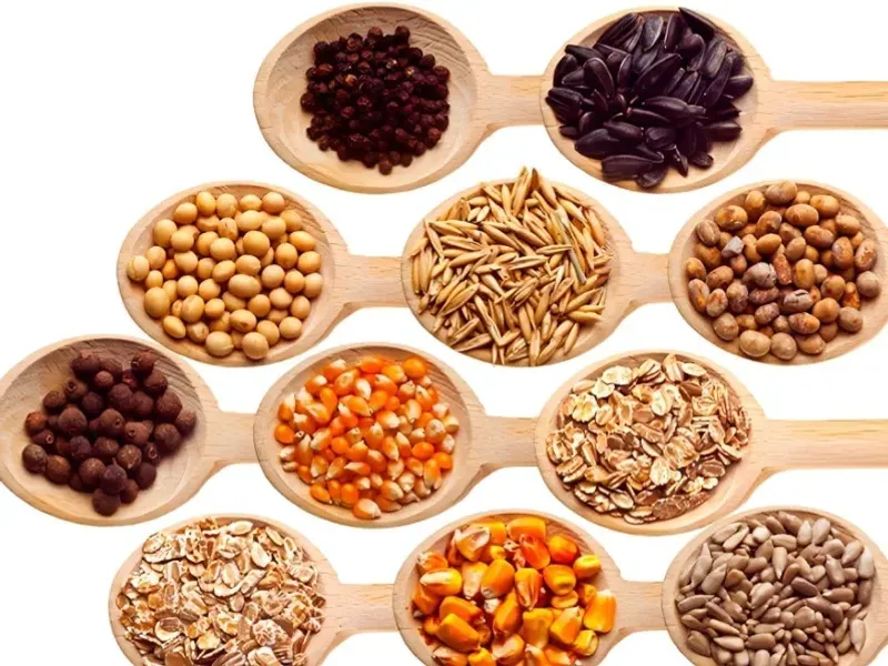Granos y cereales