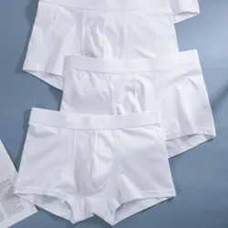 Calzoncillos de niño
