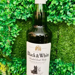 Black & White(x shot)