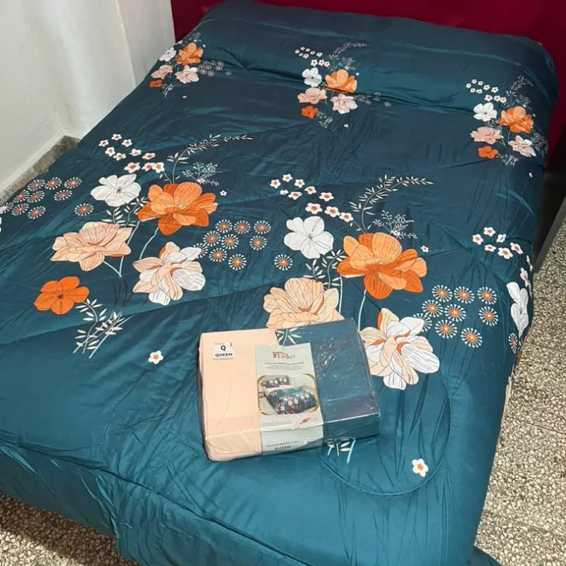 Juego de edredón y sábanas Queen