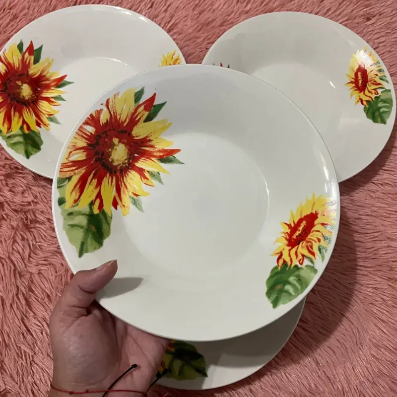 Juego de 4 platos hondos grandes 