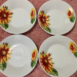 Juego de 4 platos hondos grandes 