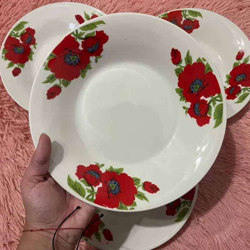 Juego de 4 platos hondos grandes